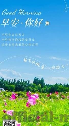 糖心直播app官网安全下载-信任与风险，糖心直播App官网安全下载的明智选择